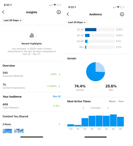 Instagram account and audience insights